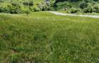 Teren de 7000 mp, în Morărești (Ciuruleasa) - 2