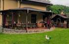 Casa pitoreasca S+P+M (166mp/1360mp) - 6