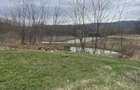 Teren de 3145 mp, în Mănăstirea Cașin - 8