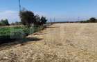 Teren Isalnita intravilan, 2500 mp, toate utilitatile - 3
