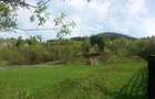 Teren extravilan, 21.784 mp - Zona Salatruc, jud. Suceava - 1