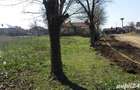 Doua terenuri intravilane 2600 m2 ( 2x 1300 m2 ) Giurgi?a, Dolj 26.000,00 - 4