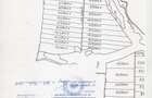 Vand parcela 500 mp teren, localitatea Ianova, PUZ inceput, pre? 25 euro mp - 3