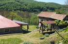 Casa de vacan?a cu teren, zona submontana, aproape de Valenii de Munte - 15