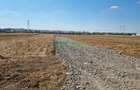 Teren industrial   Popesti, 10.800 m2, utilitati gaz si curent - 3