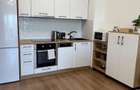 Apartament 2 camere de inchiriat Adora Park - 3