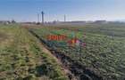 Teren industrial 11600mp la DN1 - 3