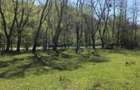 Teren intravilan de vanzare in Borod, 2000 mp, Bihor, Gaminvest, V4745