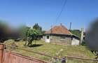 Casa cu teren 8.000 mp si livada - 5