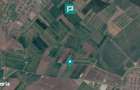 Teren extravilan 7.915Mp, intre Vladimirescu-Horia
