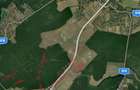 Teren intravilan de vanzare Snagov | 2.500 mp - 3