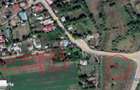 Teren de 3900mp de vanzare, pret accesibil - 1
