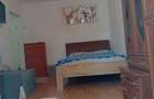 Inchiriere apartament cu o camera zona Dacia Timisoara - 9
