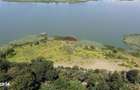 Teren 2404 mp la Lacul Murani langa padure concept Green and Blue