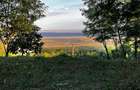 Teren Intravilan 7.593 mp | Pietroasa Mica, Buzau Panorama Spectaculoasa, Padure in Spate & Poten?