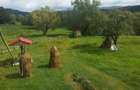Vanzare loc de casa, teren cu utilitati Galesu Arges 5000mp Intravilan - 3