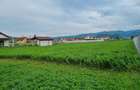 Teren Intravilan Hateg - 3