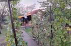 Teren de vanzare 1000 m2, intravilan ,la strada asfaltata cu casuta de vacanta, in Mihail Kogalniceanu , com. Smardan - 8