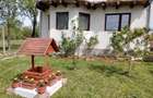 casa de vanzare in Buzias - 1