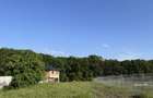 Teren Intravilan Branesti-Ilfov, la marginea padurii, aproape de lac - 6