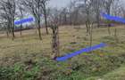 Teren intravilan de vanzare 800 m , Livezi (General Berthelot) - 2