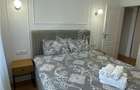 Apartament de Lux 3 camere 2 bai 2 boxe zona Terezian - 6