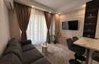 Studio dublu Ansamblul Rezidential Cosmopolis - 2