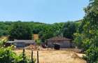 Vand casa si teren sat Canlia - 1