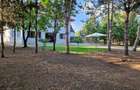 Inchiriere spatiu depozit - comercial - 9