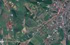 Teren intravilan 5000 mp Dealul Brezii Reghin - 2