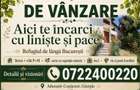 Casa cu vie, livadă și timp pentru tine - 2