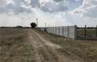Teren intravilan Pipera-Voluntari 2000 mp - 1