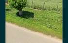 vand teren intravilan curcani calarasi 4464 mp - 2