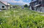 Teren de vanzare 1917 mp, zona Valea Jelnei - 5