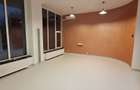 Vanzare spatiu comercial ultracentral - 2