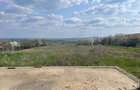 2 Case de vanzare zona Facliei Oradea | Teren 1800 mp - 7