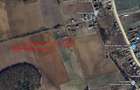 Vanzare doua terenuri 600 mp cu acte in regula Santana de Mure? (zona Unirii - Barde?ti) - 4