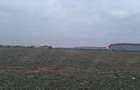 Teren intravilan Dragomiresti-Deal, Str. Ulmului, 3400mp - 8