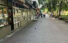 Spatiu comercial Alexandru cel Bun ,iasi - 1