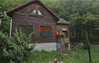 Casa de vacanta la padure | Teren 891 mp | Valea Ighielului - 9