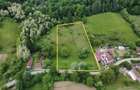 Teren intravilan Toc - Savarsin - 7.000 mp - f.s 60 ml - 3