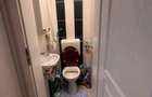 Apartament 4 camere Gradina Icoanei - 9