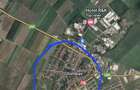 Teren agricol Ghimbav - 2