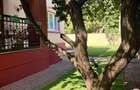 Vila Damaroaia | 6 camere | Firma, Cabinet, Afterschool - 8