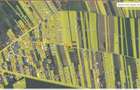 Bolintin Deal intravilan 1383mp str.Campul Nou deschidere 26m acces din doua laturi 30 EUR mp - 9