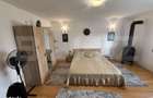Apartament 1 camera, 36 mp, pet friendly, zona Andrei Muresanu - 4