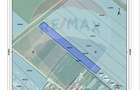 Vanzare teren rezidential 7500 mp Brasov, Halchiu / Strada Romana