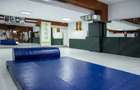 Dojo Sala sport 244 mp pentru instructori antrenori profesori - 2