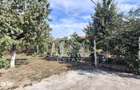 Casa 4 camere,Teren 360 mp Micalaca Garaj, Gradin - 18