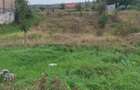 Teren Tomesti intravilan 1000mp,gaz,apa,canal,asfalt,business - 2